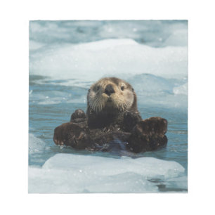 Bloc-note Otter flottante