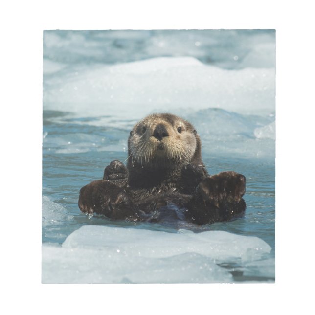 Bloc-note Otter flottante (Devant)