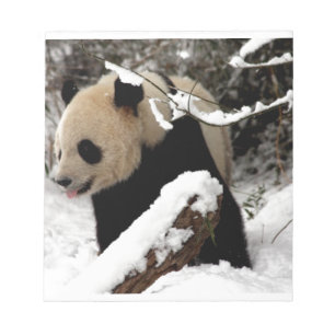Bloc-note Ours panda