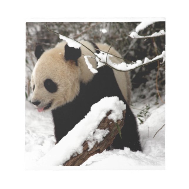 Bloc-note Ours panda (Devant)