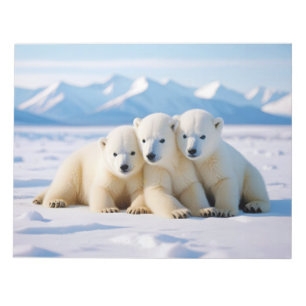 Bloc-note Ours Polaire Animal Nature Faune Affection Prévena