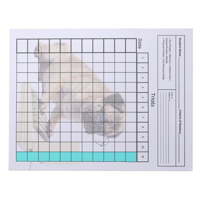 Bloc-note Outil SpEd essentiel : Feuille de données vierge ( (Devant)