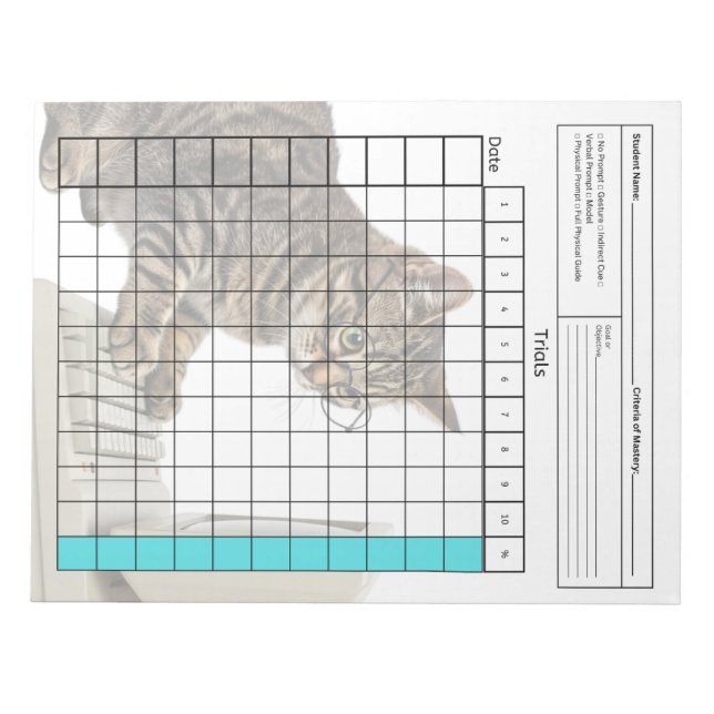 Bloc-note Outil SpEd essentiel : Feuille de données vierge ( (Devant)