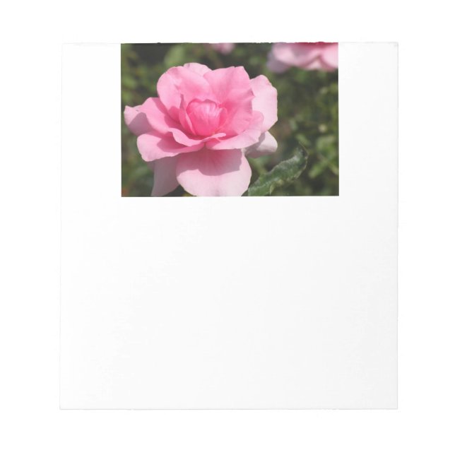 Bloc-note Pad rose (Devant)