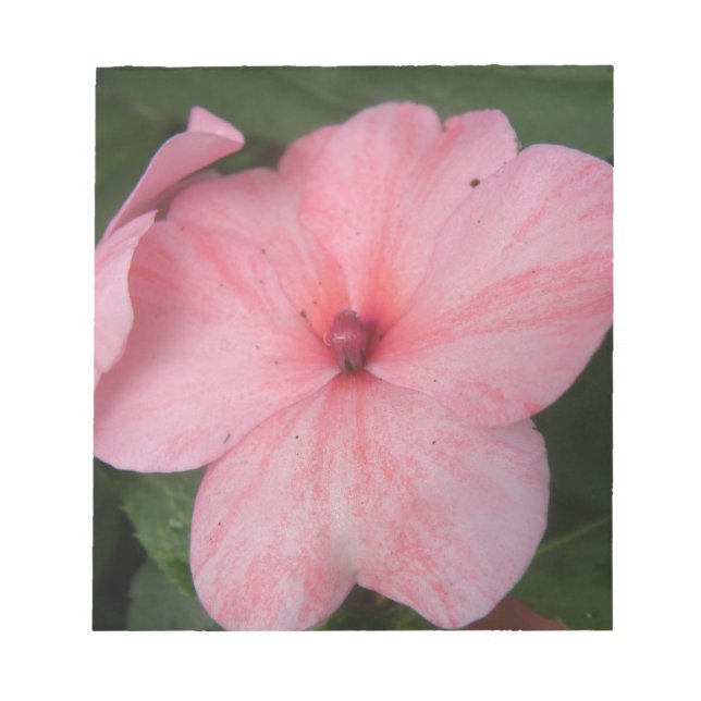 Bloc-note Pale Pink Impatiens Flower Notepad (Devant)
