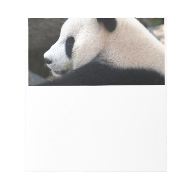Bloc-note Panda Bear Hugs (Devant)