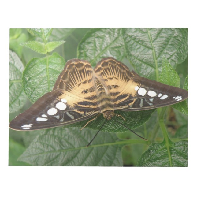 Bloc-note Papier photo Papier photo Papillon Tropical (Devant)