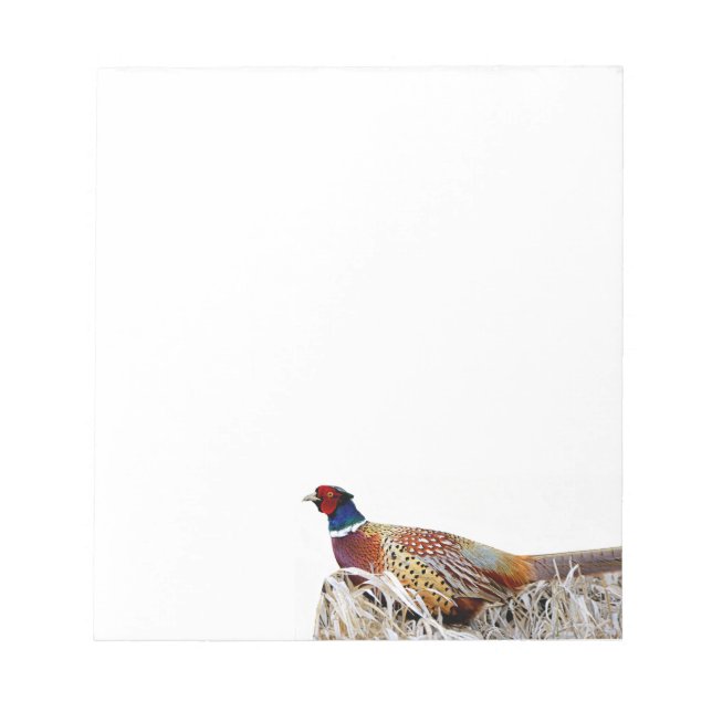 Bloc-note Papier photo Pheasant à cou de bague Pad (Devant)