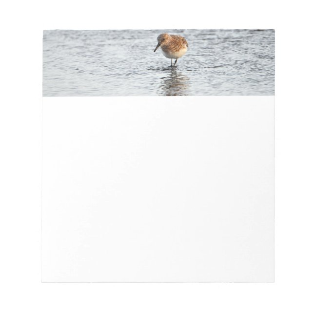 Bloc-note Papier photo Sandpiper Bird (Devant)