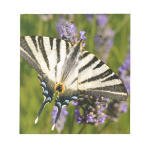 Bloc-note Papillon à queue épaisse sur lavande