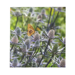 Bloc-note Papillon fritillaire sur chardon bleu