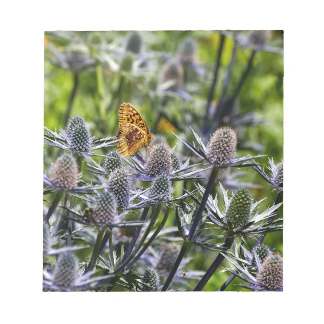 Bloc-note Papillon fritillaire sur chardon bleu (Devant)