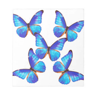 Bloc-note "Papillon morpho"の 優 良 品