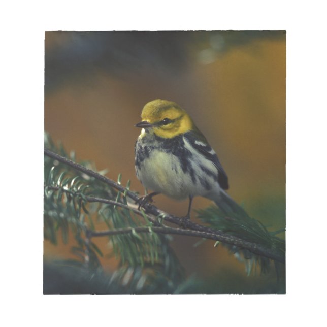 Bloc-note Paruline à gorge noire (Devant)