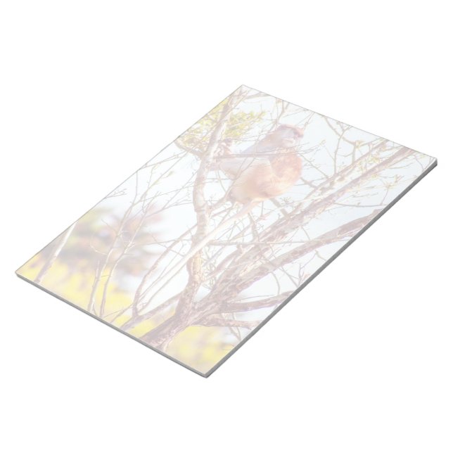 Bloc-note Patas est en haut d'un arbre (Incliné)