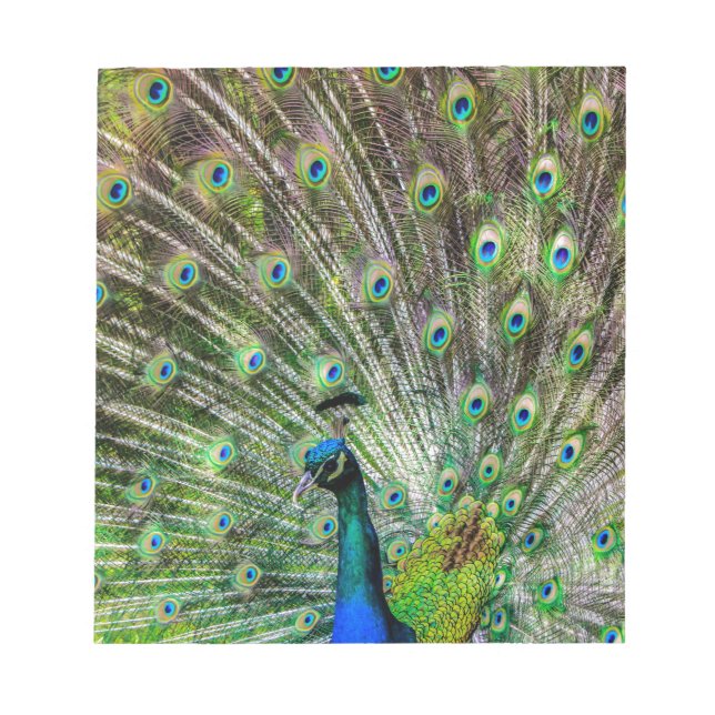 Bloc-note Peacock (Devant)
