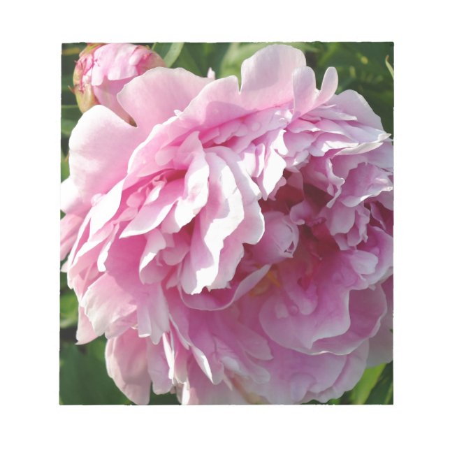 Bloc-note Peony rose | gîte ferme jardin fleuri (Devant)