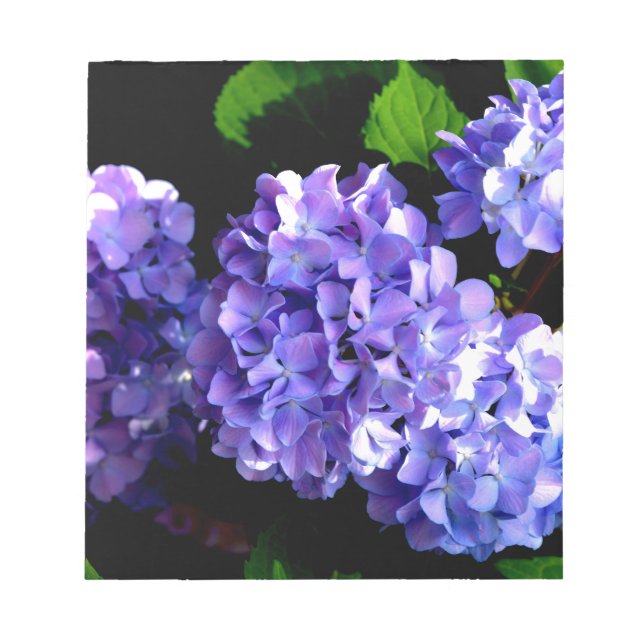 Bloc-note Périwinkel hydrangeas fleurs violettes fleurs bleu (Devant)