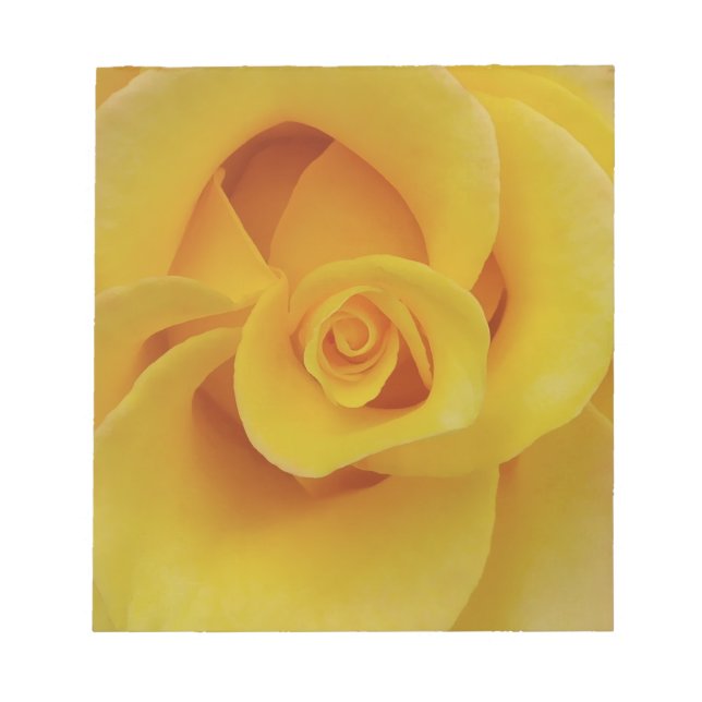 Bloc-note Pétales de rose jaune romantiques (Devant)