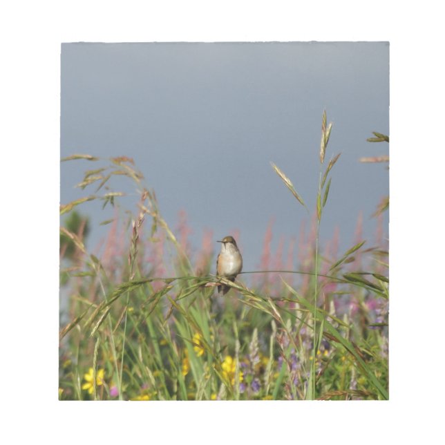 Bloc-note Petit colibri gras (Devant)