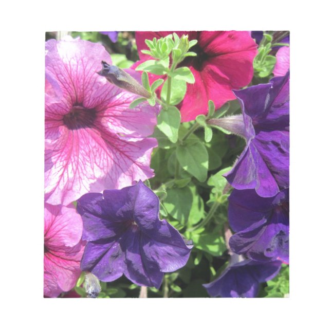 Bloc-note Petunias colorées (Devant)