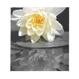Bloc-note Photo White Water Lily