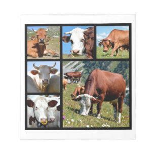 Bloc-note Photos mosaïque de vaches