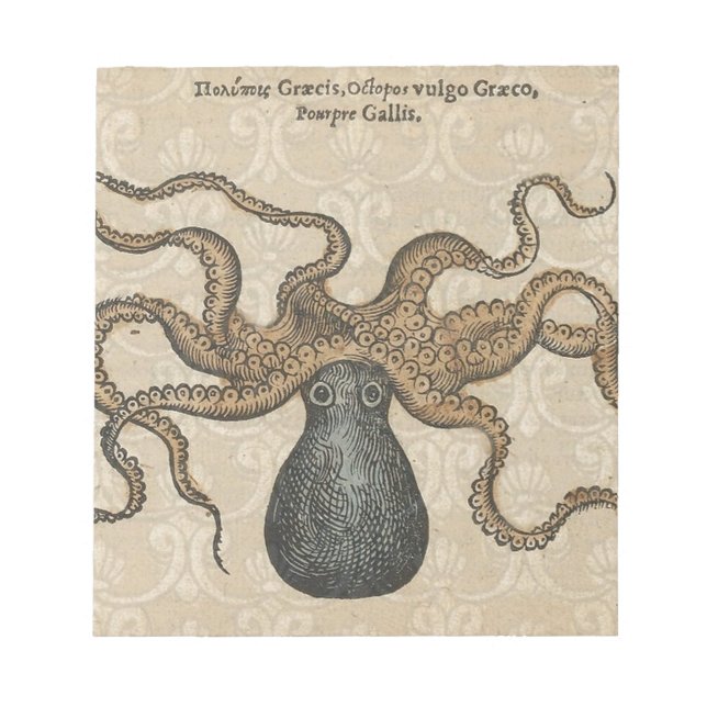 Bloc-note Pieuvre Kraken Antique Faune Marine Côtière (Devant)
