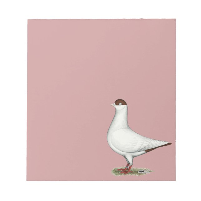 Bloc-note Pigeon casque néerlandais (Devant)