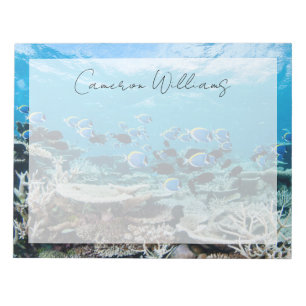 Bloc-note Plages tropicales   Esturgeon Parmi le corail