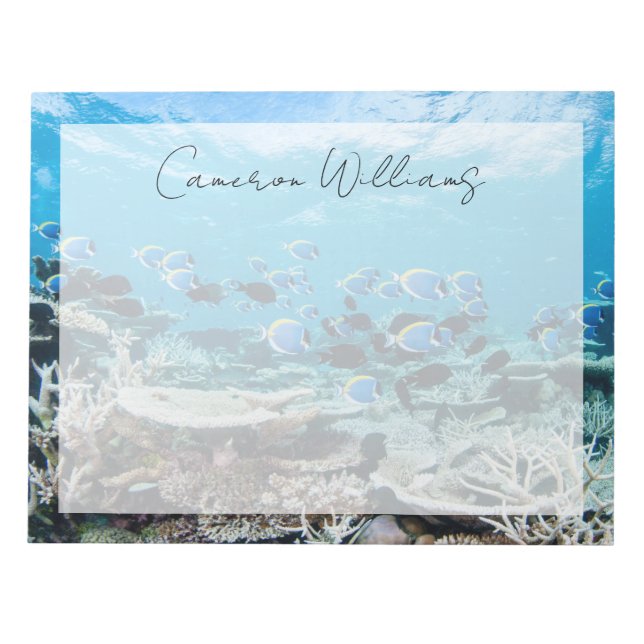 Bloc-note Plages tropicales | Esturgeon Parmi le corail (Devant)