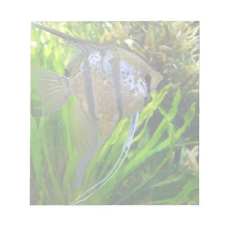 Bloc-note Poisson Angel