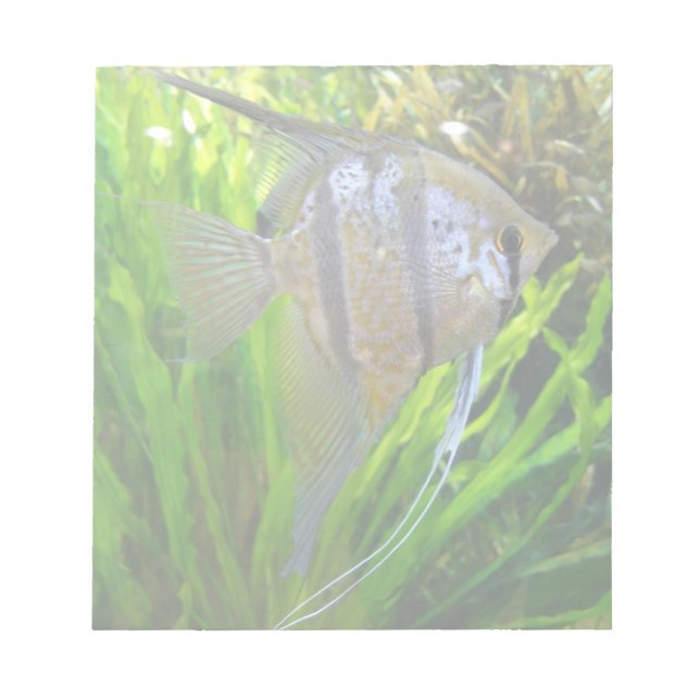 Bloc-note Poisson Angel (Devant)