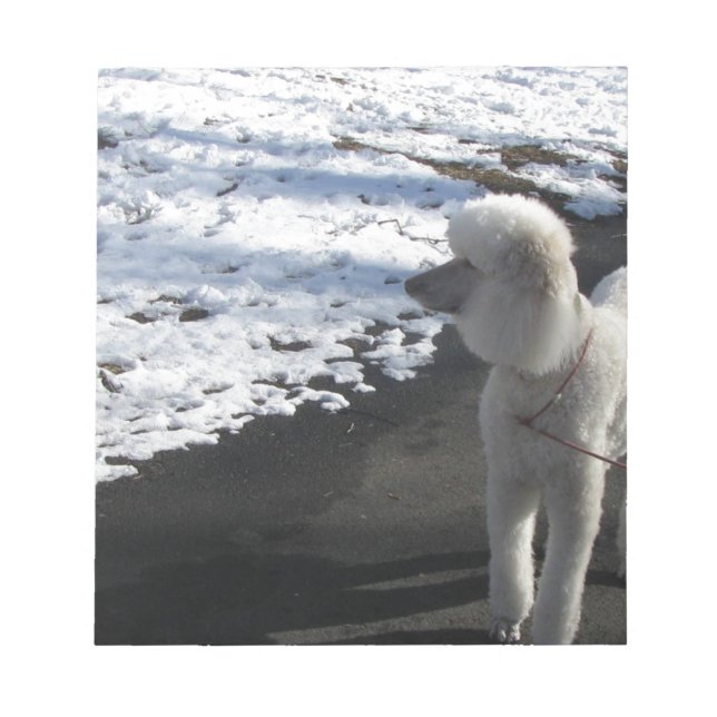 Bloc-note Poodle blanc au bord de la neige (Devant)