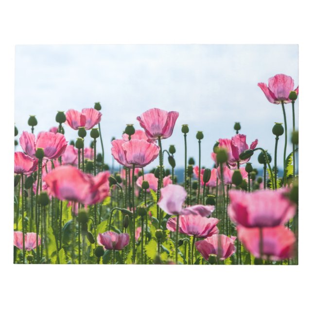 Bloc-note Poppies roses (Devant)