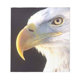 Bloc-note Portrait d'aigle royal, Haliaeetus leucocephalus,