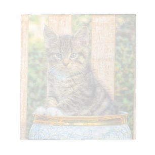 Bloc-note Pot De Bébé Kitten