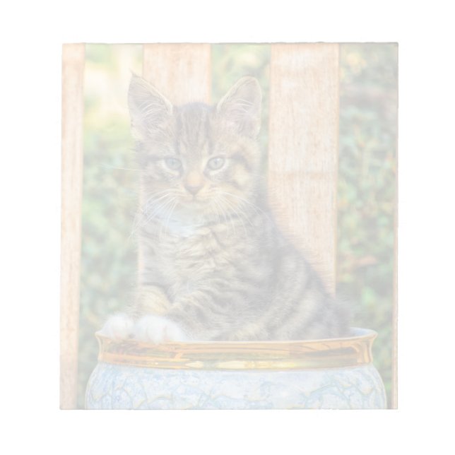 Bloc-note Pot De Bébé Kitten (Devant)