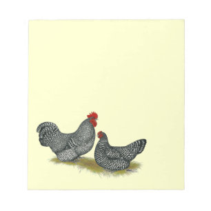 Bloc-note Poulets trapus écossais
