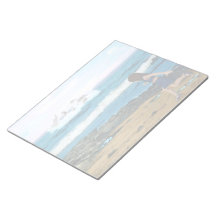 Pour voir les dauphins