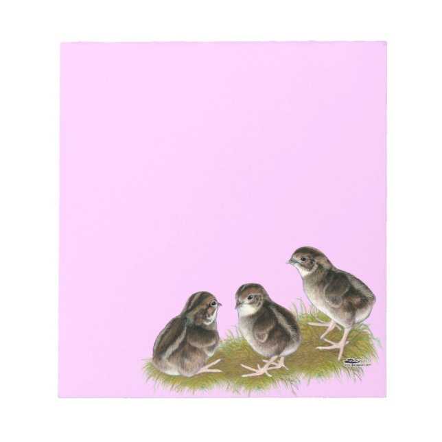 Bloc-note Poussins de caille Coturnix (Devant)