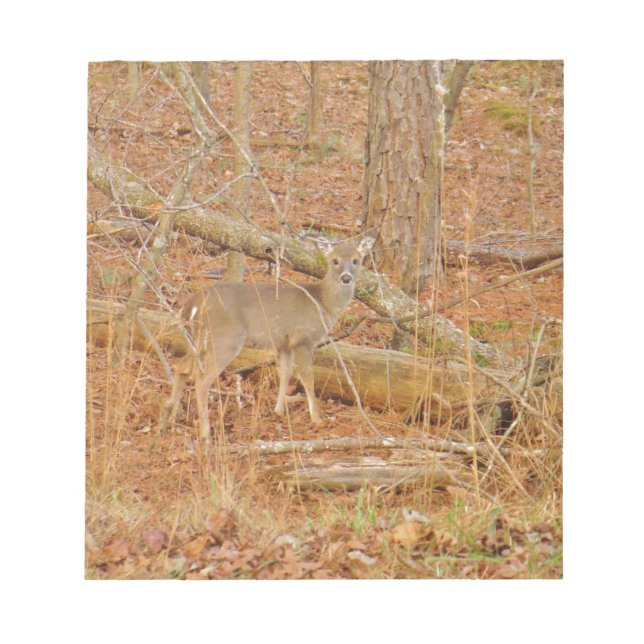 Bloc-note Premier hiver du Cerf de Bébé (Devant)