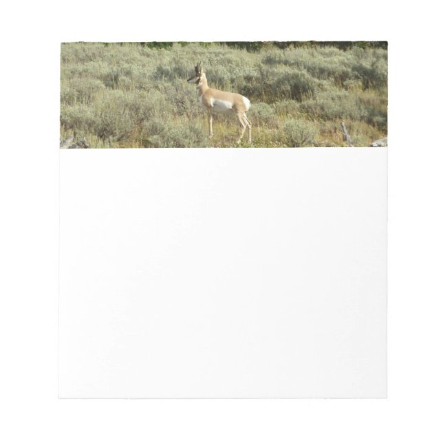 Bloc-note Pronghorn au Parc national de Grand Teton (Devant)