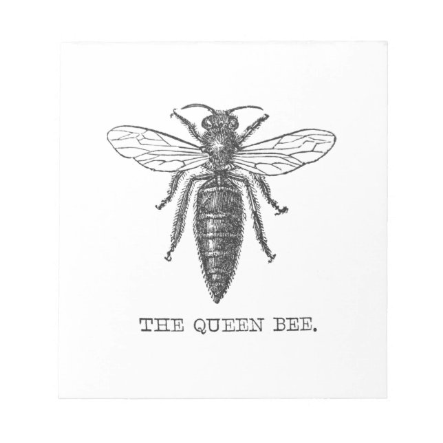 Bloc-note Queen Bee Illustration Bug Insect (Devant)