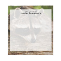 Raccoon mignon reposant sur un journal