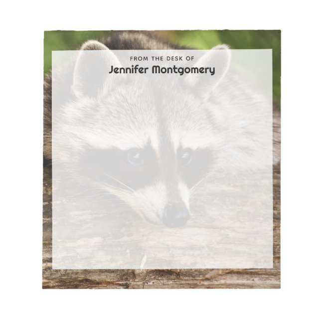 Bloc-note Raccoon mignon reposant sur un journal (Devant)