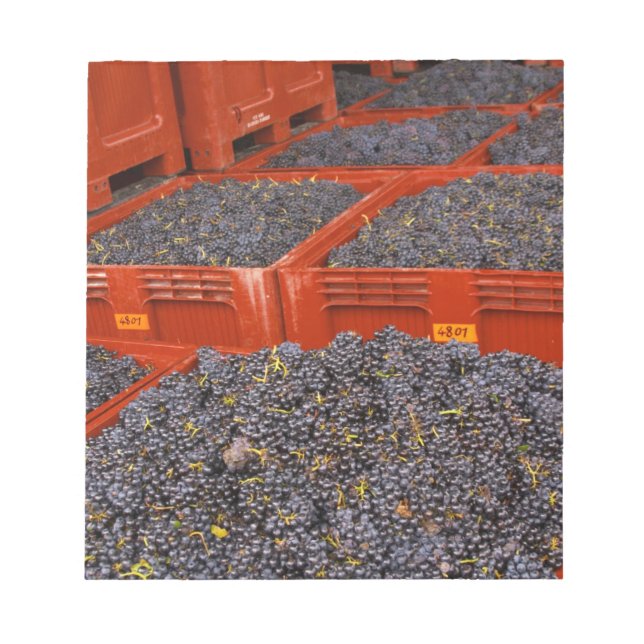 Bloc-note Raisins de Gamay fraîchement cueillis à la (Devant)