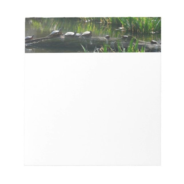 Bloc-note Rangée de tortues Green Nature Photo (Devant)