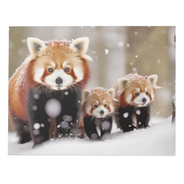 Bloc-note Red Panda Animal Famille errer Nature (Devant)