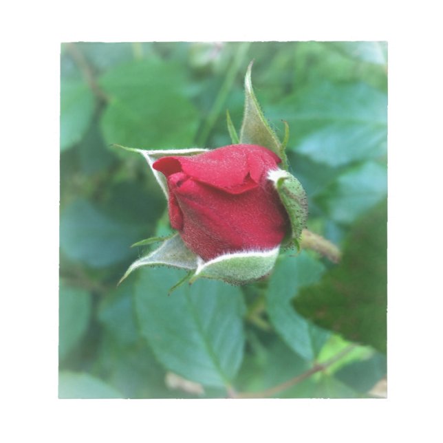 Bloc-note red rosebud (Devant)